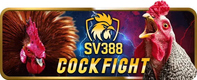 Dịch vụ chăm sóc khách hàng okkinh